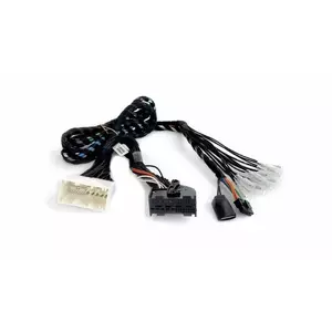 Cablu Plug&Play APBMW REAMP 2 imagine