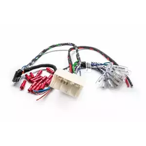 Cablu Plug&Play APBMW REAMP 1 imagine