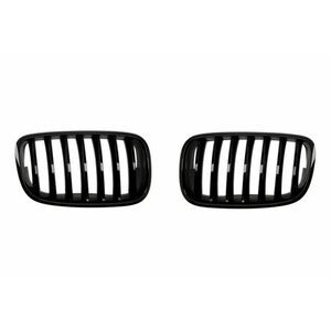 Grila radiator Dreapta Stanga Set 2 bucati, model pachet M, negru lucios potrivit BMW X5 E70 3.0-4.8 2006-2013 imagine