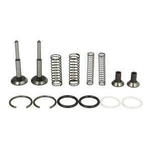 Kit reparatie pompa hidraulica potrivit MASSEY FERGUSON 100, 1000, 200, 4000, 500 1200 1250 150 230 230 UK 231 231 S 240 240 S 240 UK 243 4255 4255HV 4325 4325HV 550 565 575 imagine